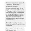 Opinia klientów o planerze pracy na Etsy. Jedna z opinii brzmi: Borze tucholski! EWA! To jest więcej niż genialne! Dzięki!