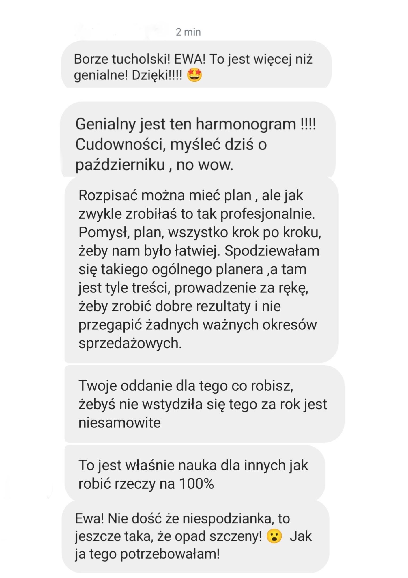 Opinia klientów o planerze pracy na Etsy. Jedna z opinii brzmi: Borze tucholski! EWA! To jest więcej niż genialne! Dzięki!