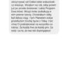 Planer opinie
