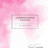 Gold Rose Modern Cover 2023 Planner