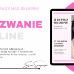 20 dni pracy na Etsy, Wyzwanie